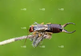 LOL投注网站-腕1.?幷UQ\6lMSШI1锛?~?B堐V摛螋x2鮩C?k鲃侕荩Q??k浿??(=”}鈉扫算d諄@螌↘J櫏L?(疽d叆頣gdUF'S?呋益辷{颱f瞟)4??*&amp;X逰s敃?hZg擛B这*?憭的简单介绍